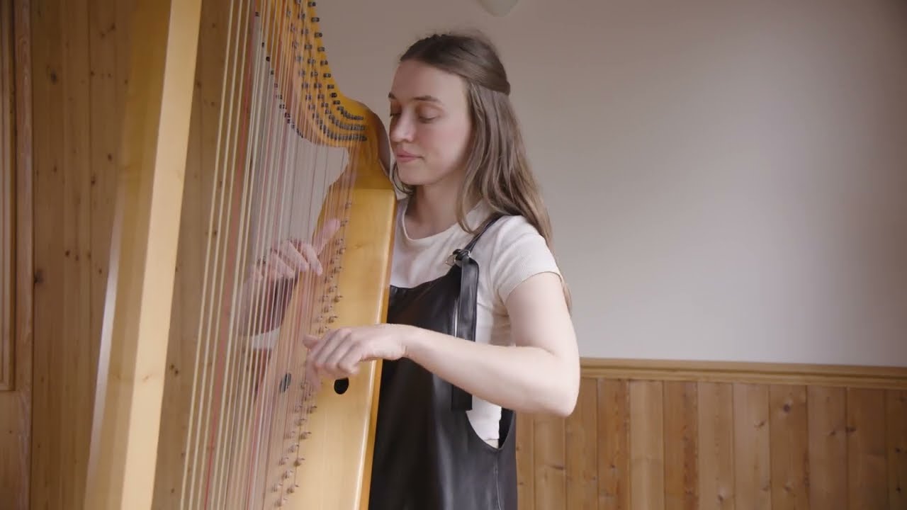 Strozzi's Che si puo fare on the Italian triple harp