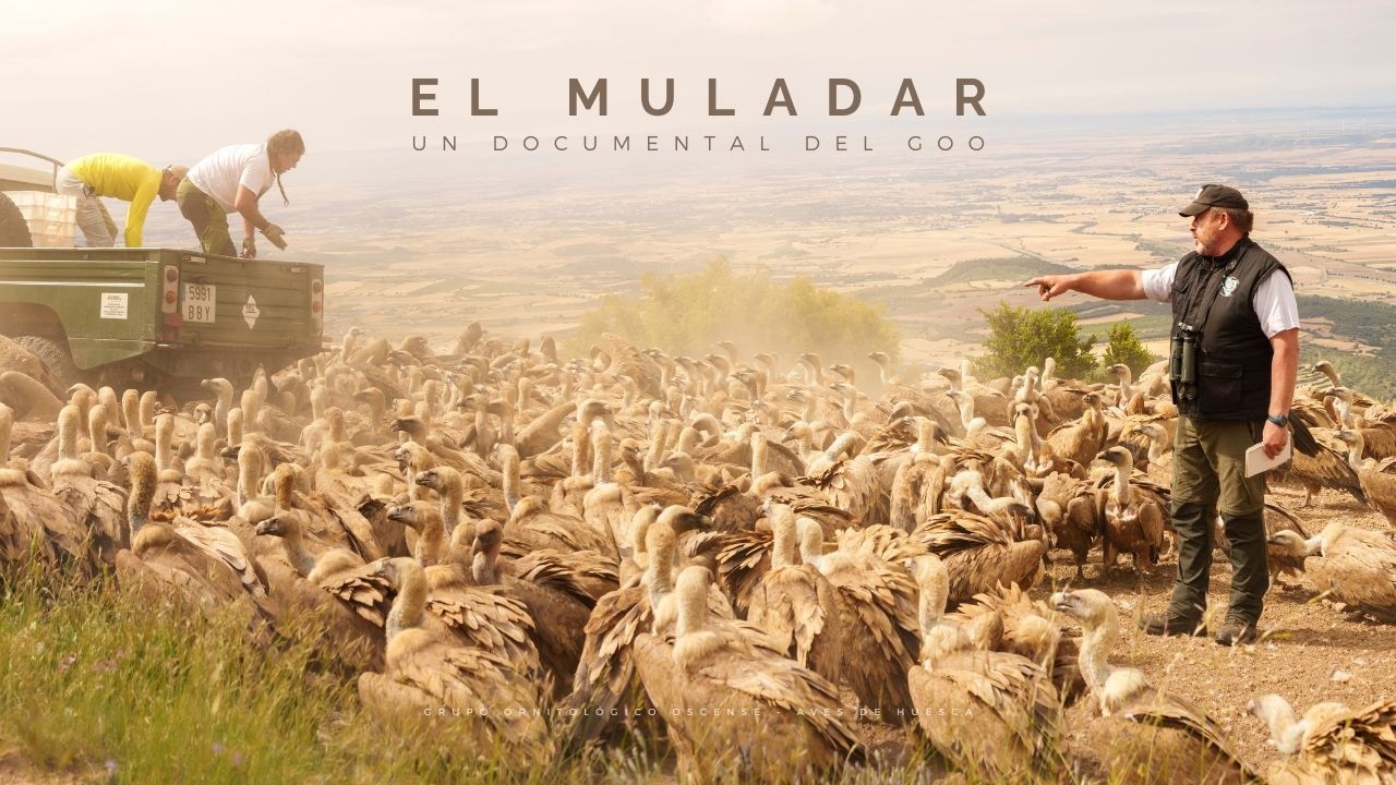 EL MULADAR | Un documental del Grupo Ornitologico Oscense