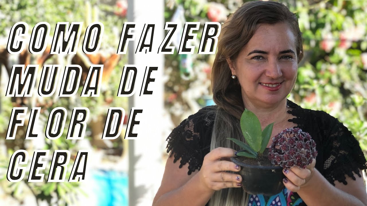 APRENDA FAZER MUDA DE FLOR DE CERA