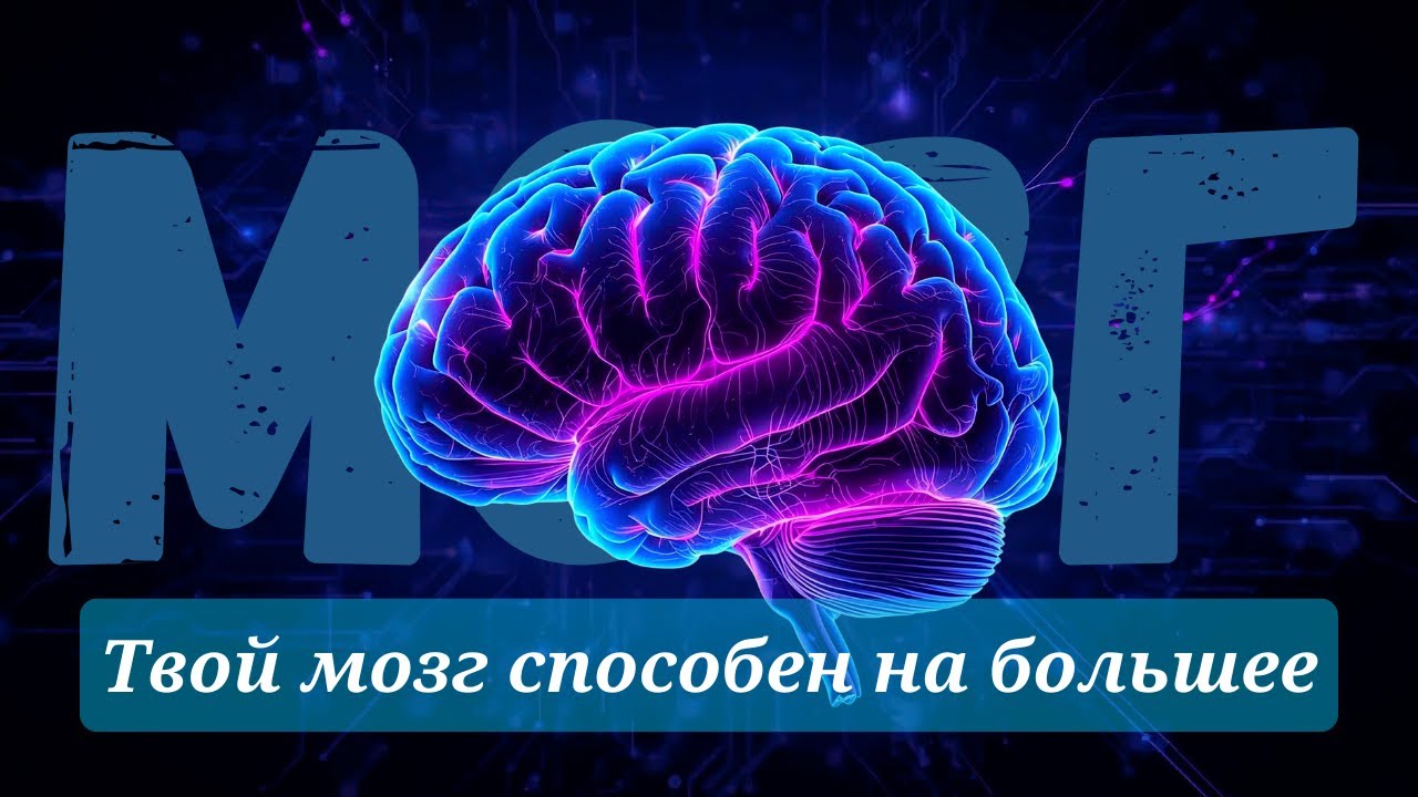 Твой мозг способен на большее!