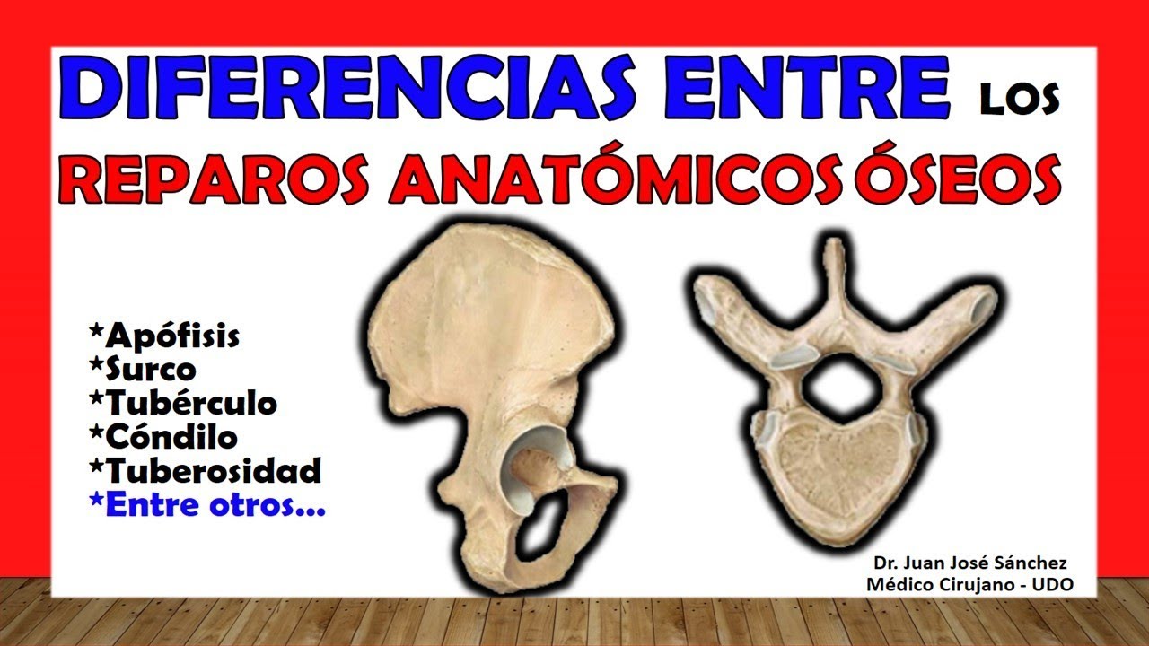🥇 REPAROS ANATÓMICOS ÓSEOS - Detalles, diferencias.