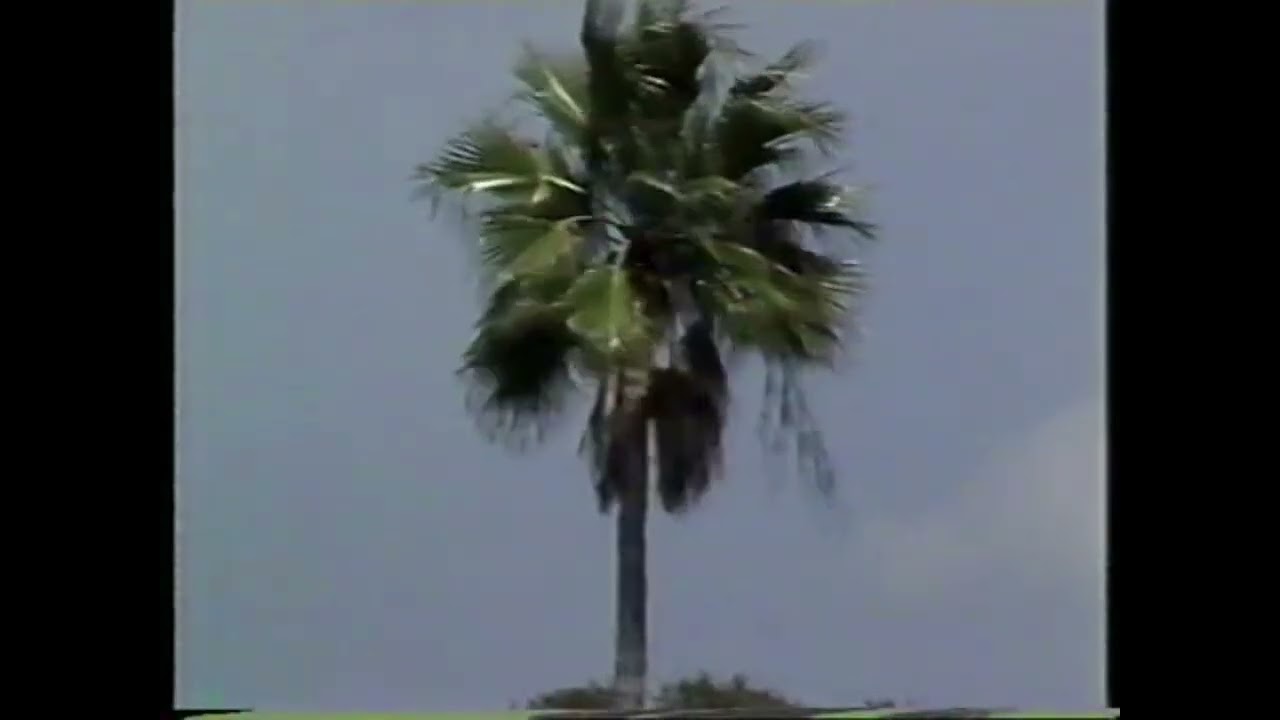 TSN Blue Jays Spring Training intro 1989