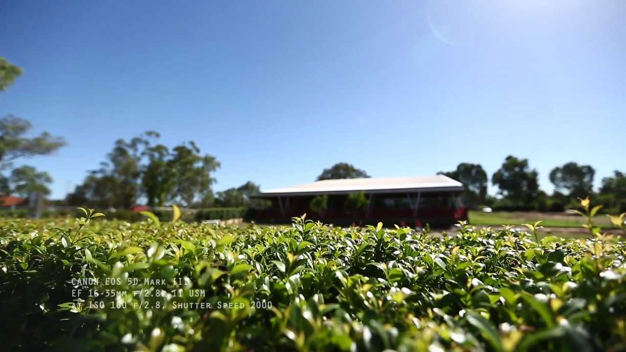 EF 16-35mm f/2.8L II USM (Landscape Shoot)