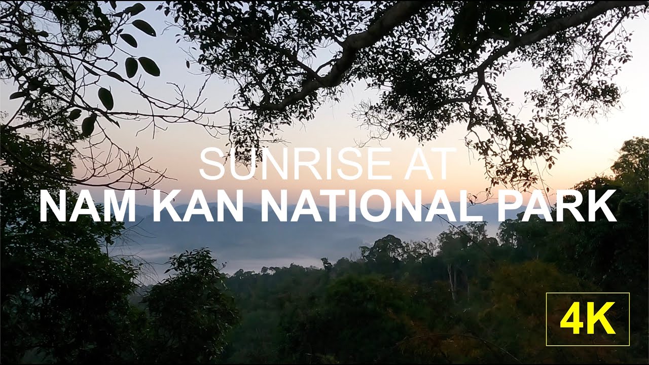 NAM KAN NATIONAL PARK, LAOS | Sunrise at the Gibbon Experience | 4K