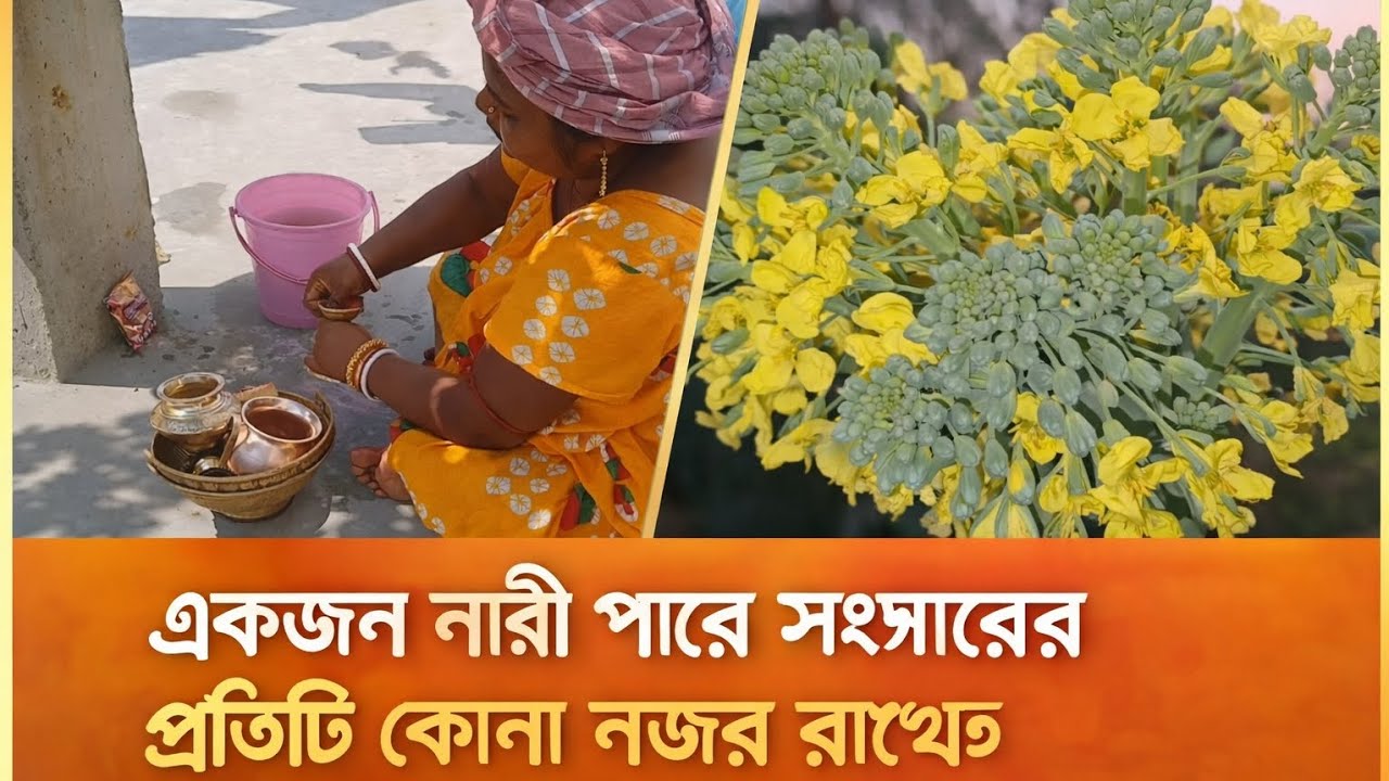 একজন নারী পারে সংসারের প্রতিটি কোনা নজর রাখতে ♥️