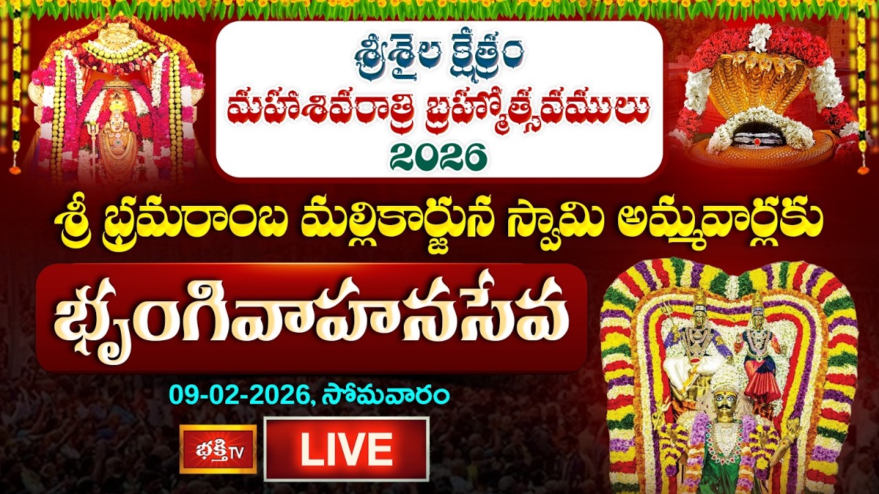 LIVE: శ్రీశైలం శ్రీ భ్రమరాంబ మల్లికార్జున స్వామి అమ్మవార్లకు భృంగివాహనసేవ.. | Srisailam Temple