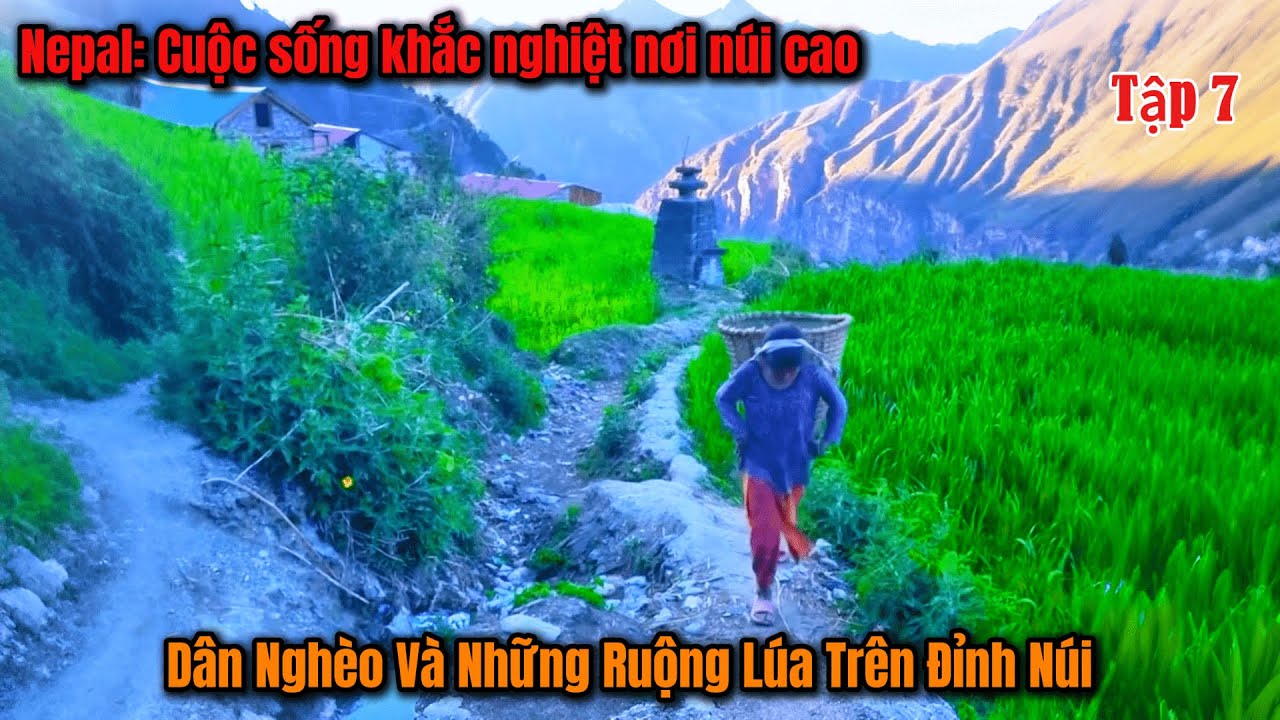 Tập 7-Cuộc sống ẩn mình sau dãy Himalaya - Văn Hóa - Ẩm Thực Nepal