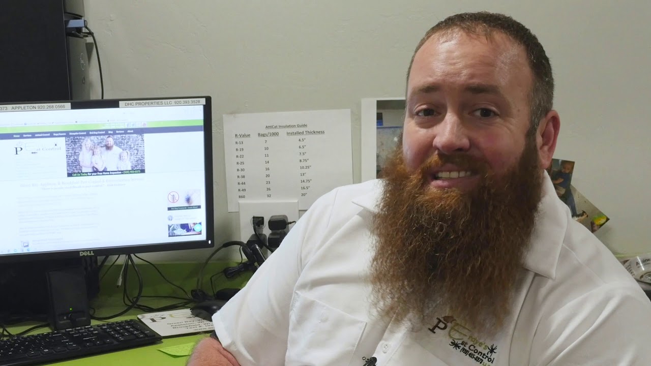 Bed Bug Basics: How to Identify a Bed Bug