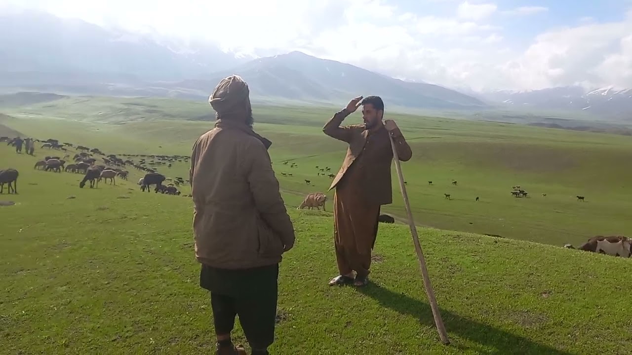 04 May 2025 ولسوالی ارغنجخواه دشت شیوه منطقه مزار دره