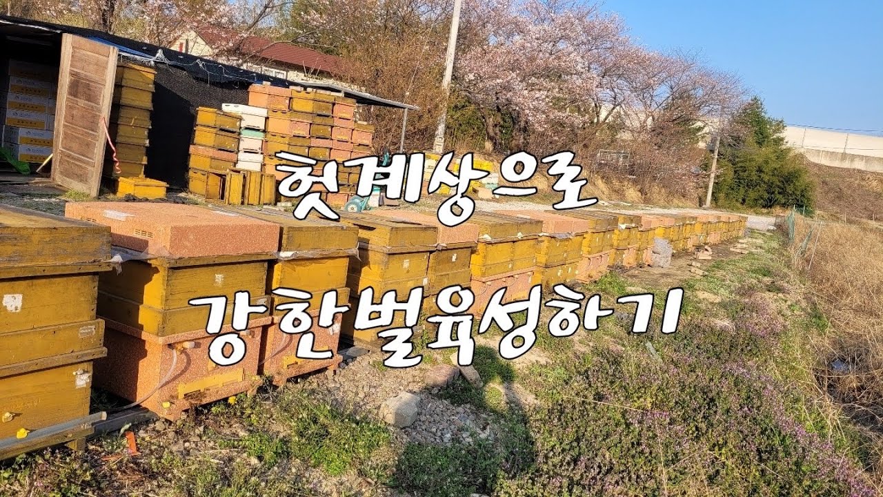 간단하게 헛계상올리며 최대산란받기