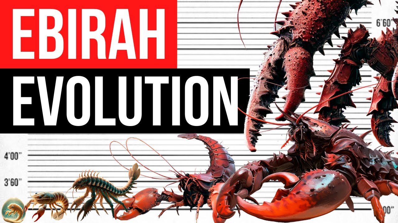 Evolution Of The Ebirah | Life Cycle