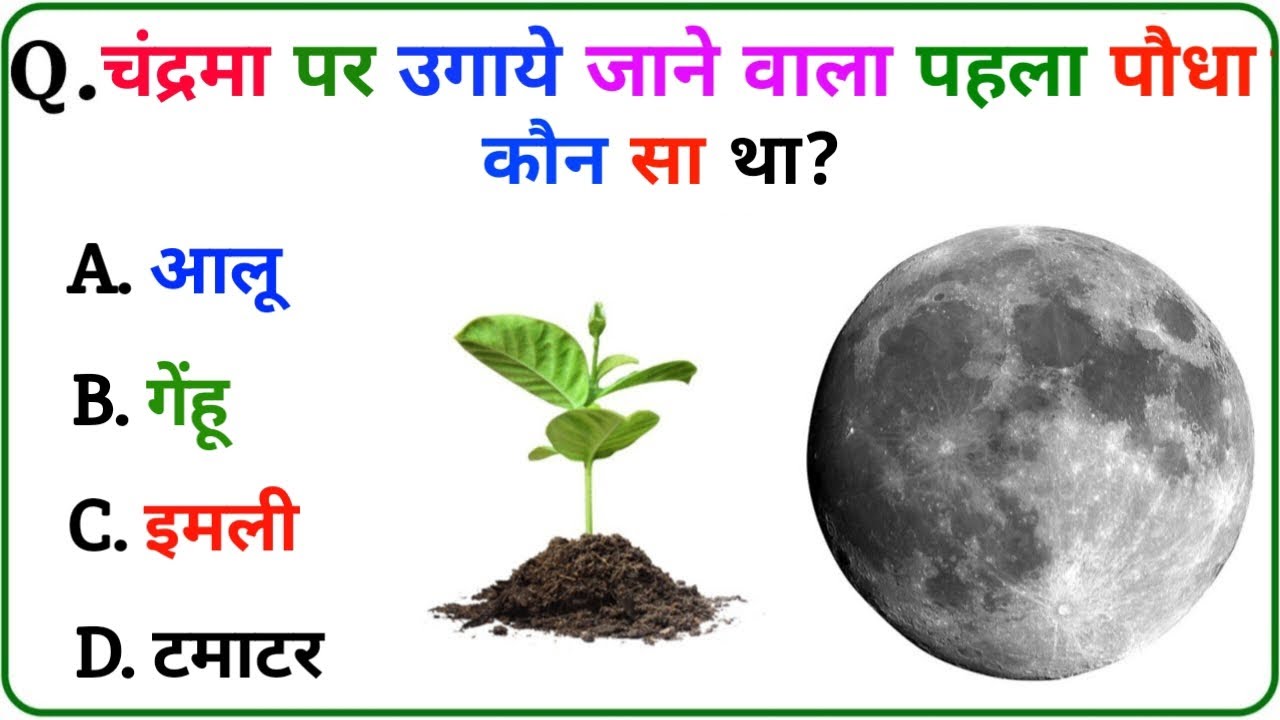 GK Question || GK In Hindi || GK Question and Answer || GK Quiz ||