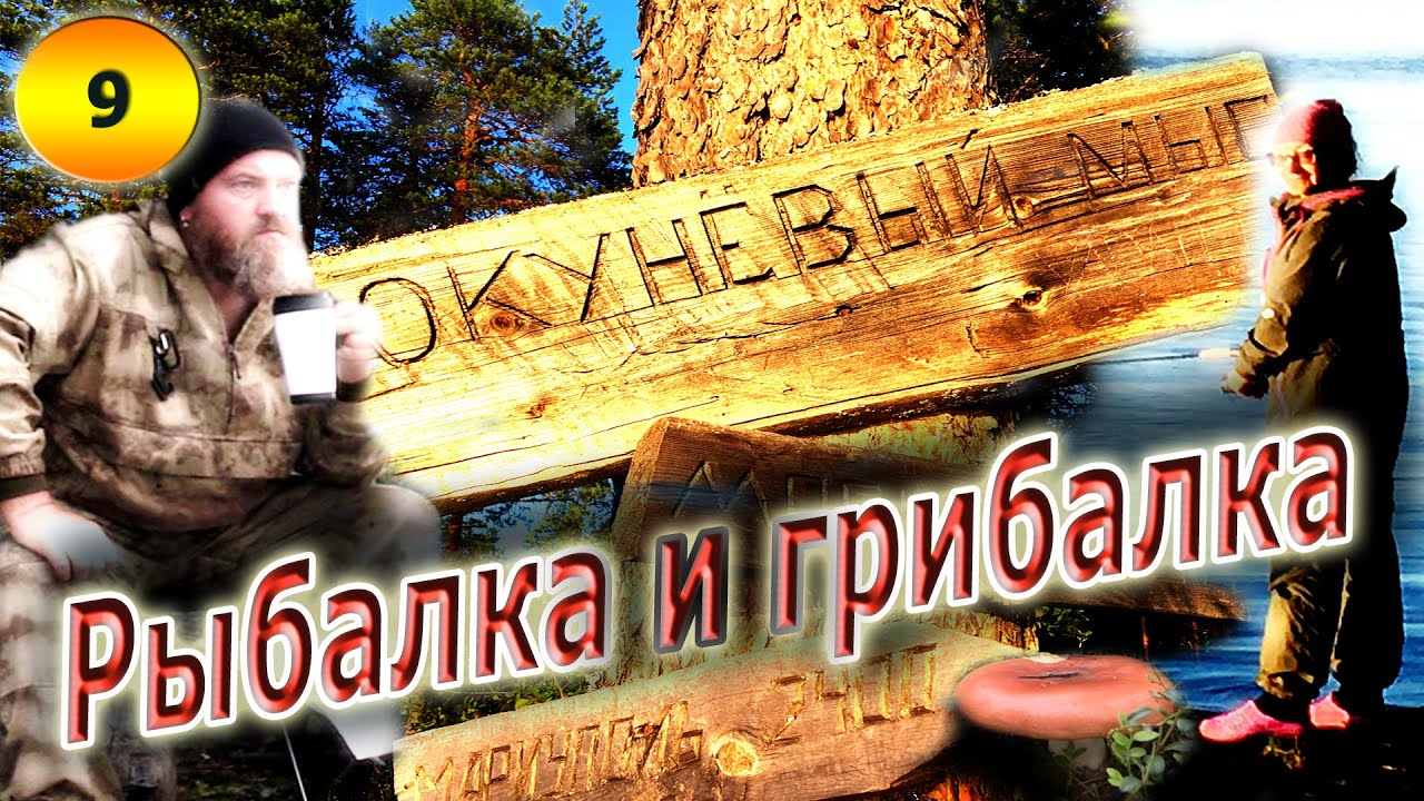#9 Чага лечебный гриб | Рыбалка | На байдарке по озеру Кереть 2020