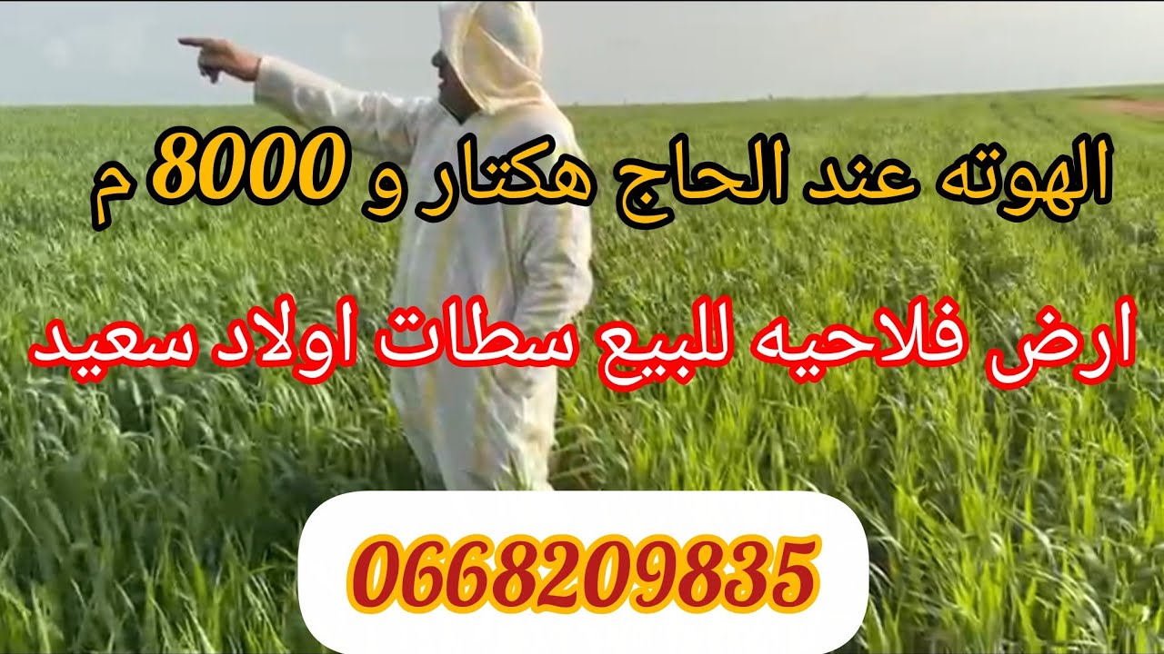 هكتار و 8000 م ارض للبيع محفظه 12 كلم سطات همزه واعره اللي بغاها مرحبا به 0668209835