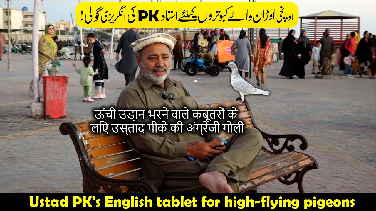 Ustad PK's English Tablet for High-Flying Pigeons | اونچی اوڑان والے کبوتر کیلئے
