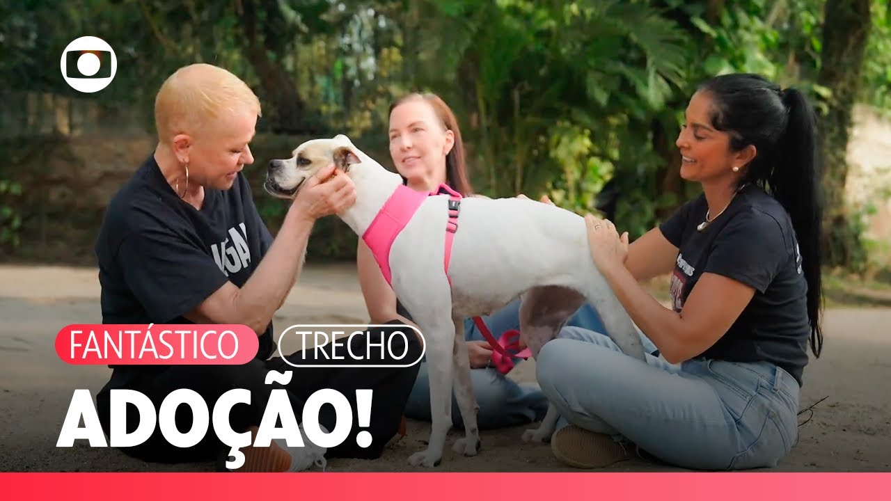 Deu Petch!: Xuxa e os desafios da adoção de animais resgatados! | Fantástico | TV Globo