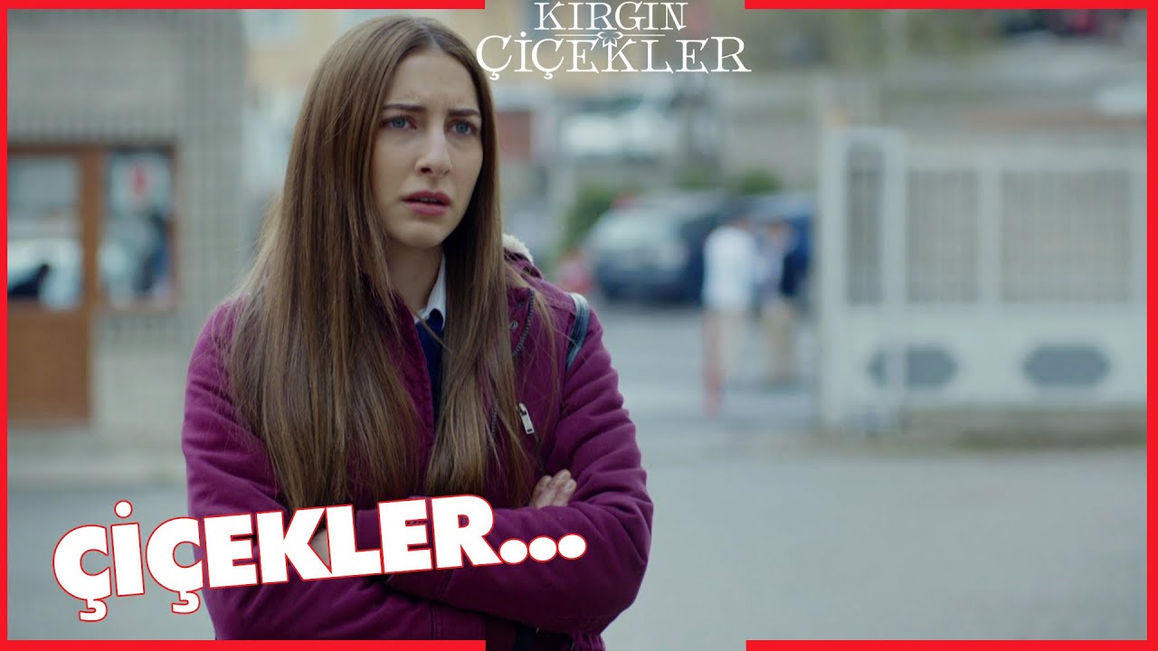 Kırgın Çiçekler Özel Kısa Bölümler | 260