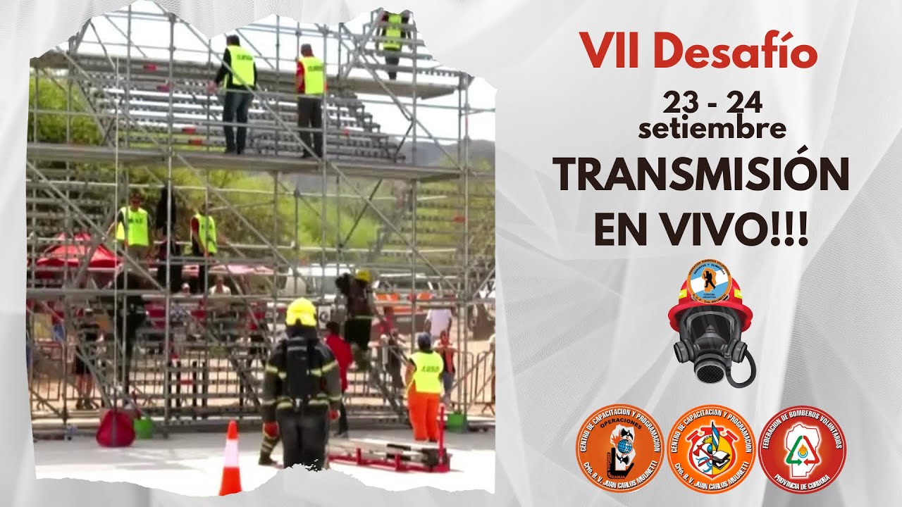 VII 