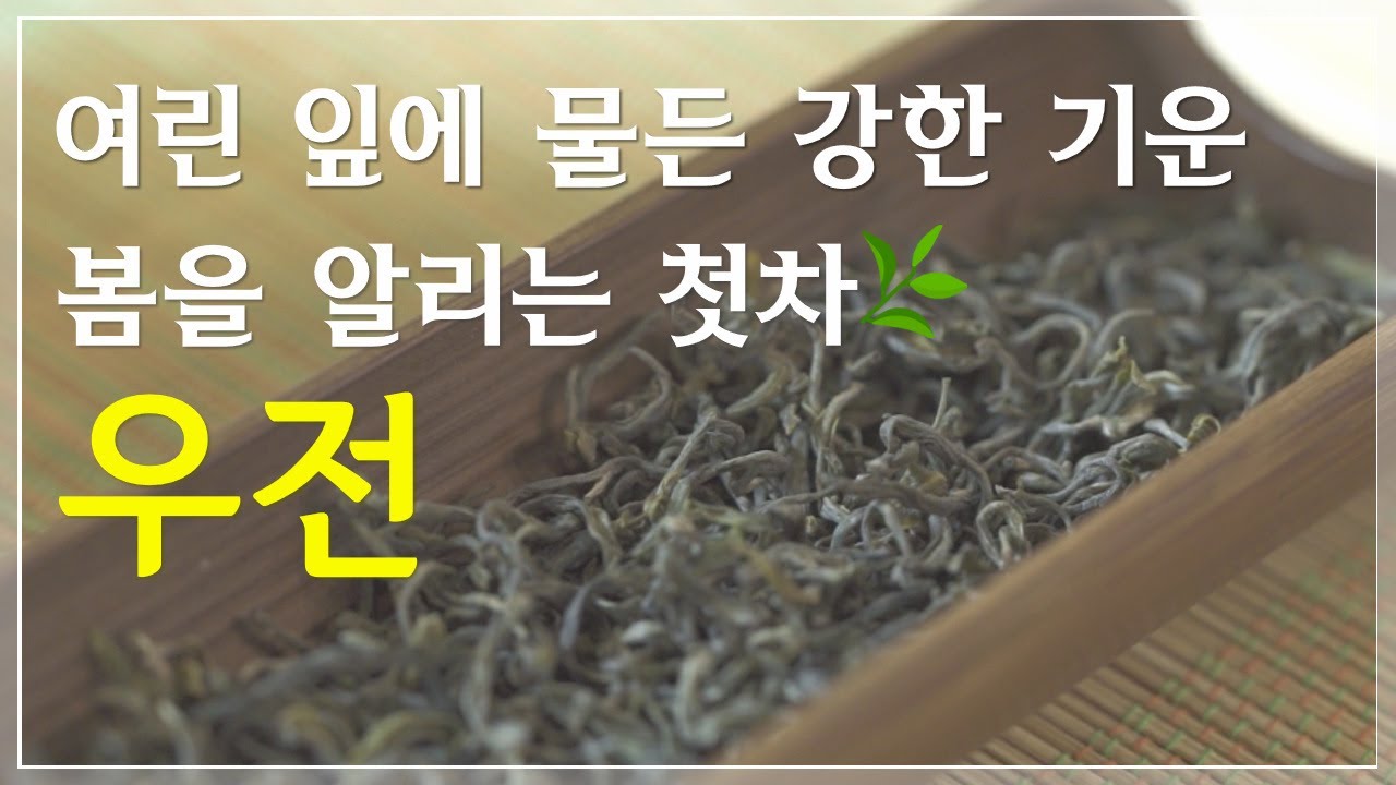 [Tasting Tea note] Ep.04 우전차