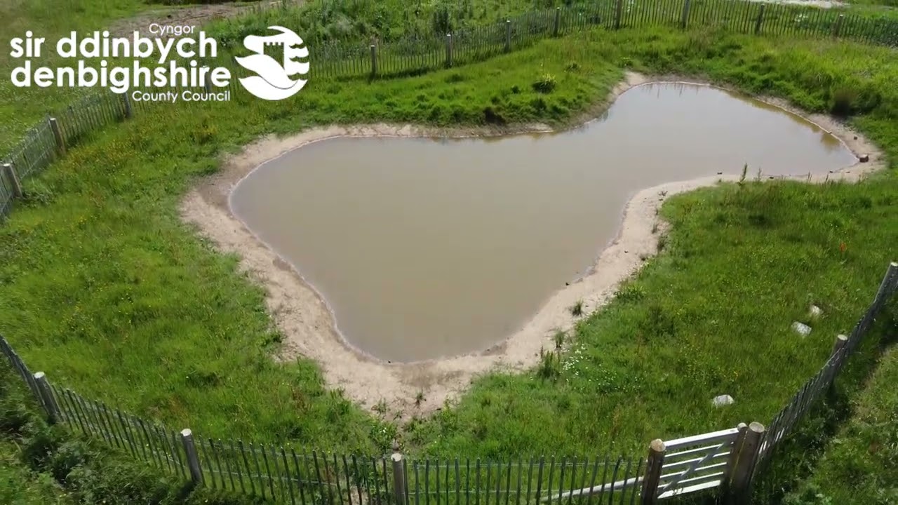 Safle Natur Cymunedol Llys Brenig /Llys Brenig Community Nature Space
