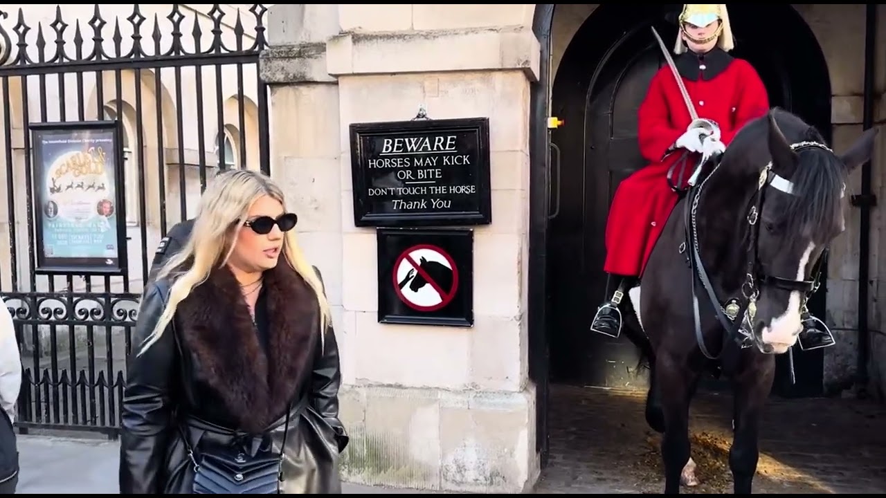 An armed officer stood guard on alert at Horse Guards. #horseguards #buckinghampalace #london #uk 