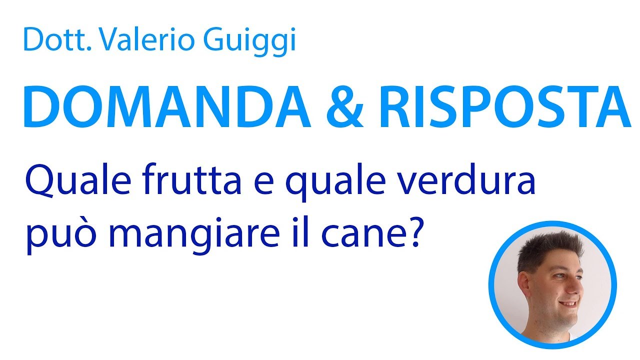 Quale FRUTTA e quale VERDURA può mangiare il cane? - Domanda&Risposta #1