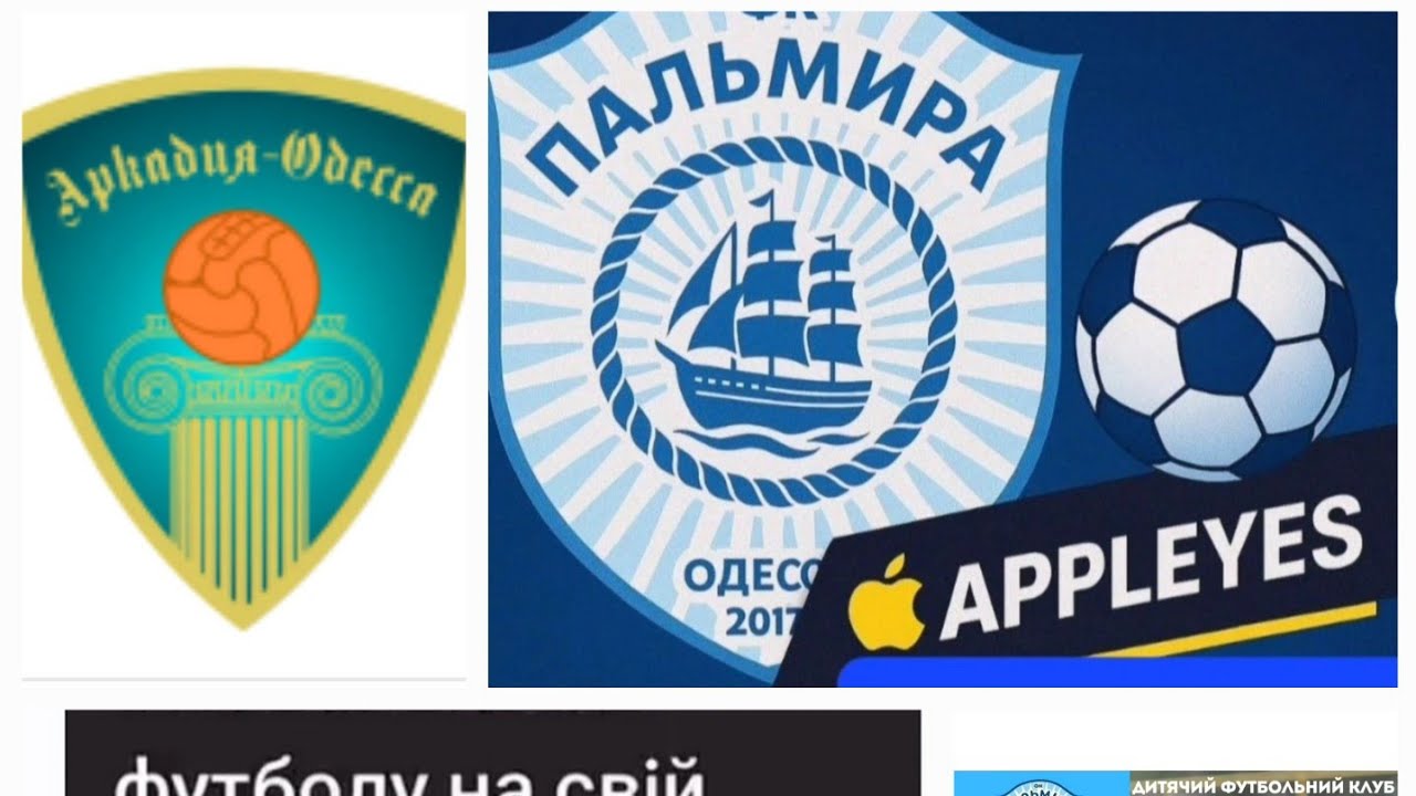 момент  гри Пальмира 2010- ФК Аркадия 1-1