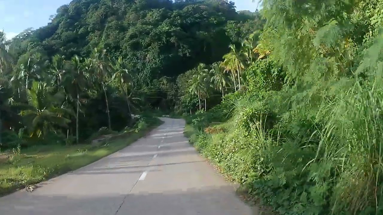 Solo Ride