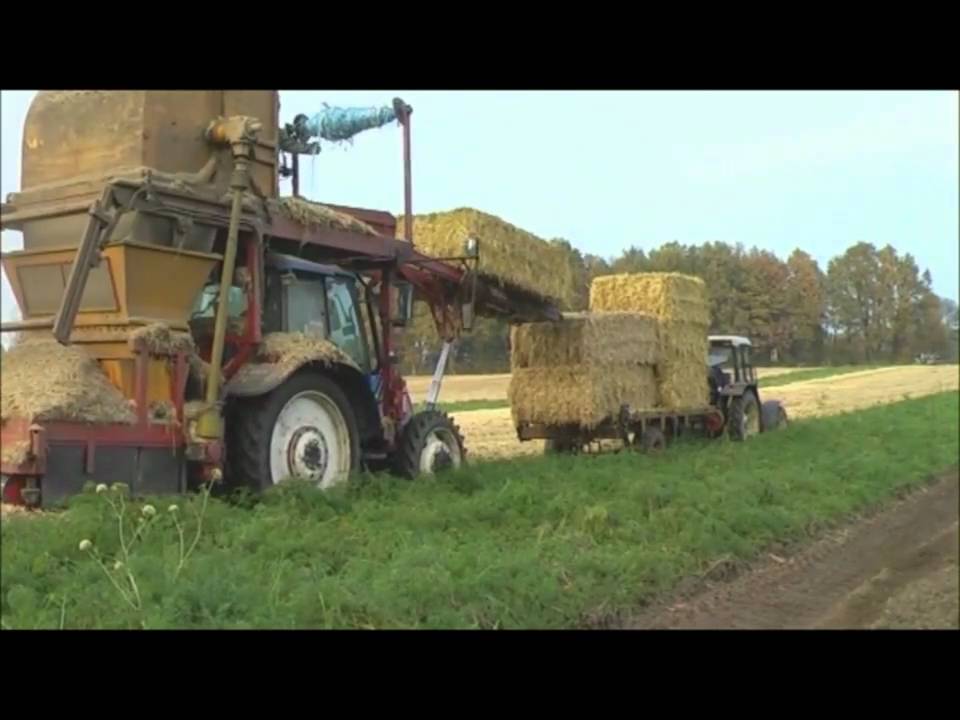 H&uuml;ging GmbH & Co. KG - M&ouml;hren mit Stroh eindecken