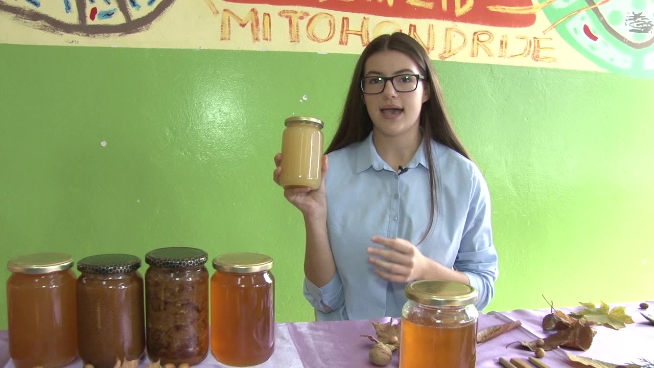 Eco plus - O.Š. Mula Mustafa Bašeskija