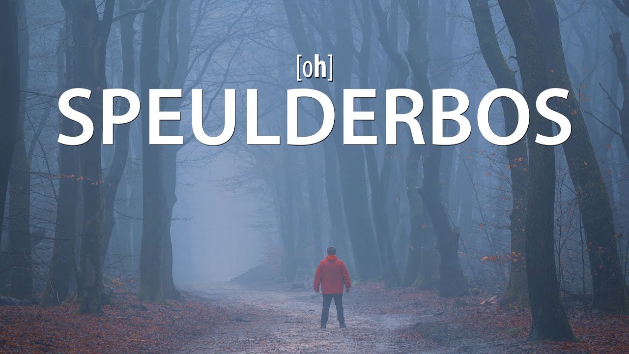 Nebel im Speulderbos - Fotowalk in den Niederlanden mit Bart Ros und Matthijs Bettman