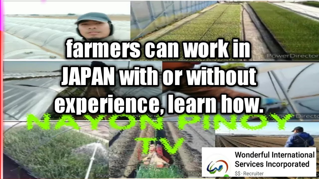 Farmers can work in JAPAN with or without experience, learn how.