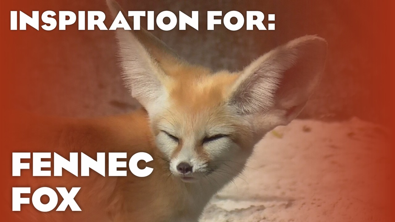 8 Real Fennec Fox Habitats! (Planet Zoo Inspiration)