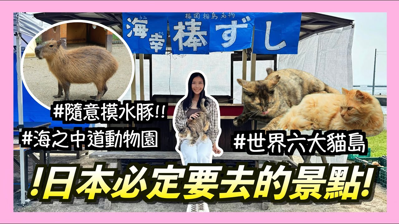 【獨遊福岡✈️ Ep.2】200隻貓貓任摸唔嬲🤤？全日本最高齡的瀕危物種😱？帶你發掘福岡動物世界‼️