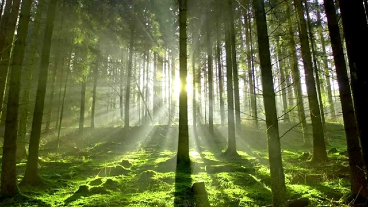 Sing hallelujah to the lord (personal instrumental)