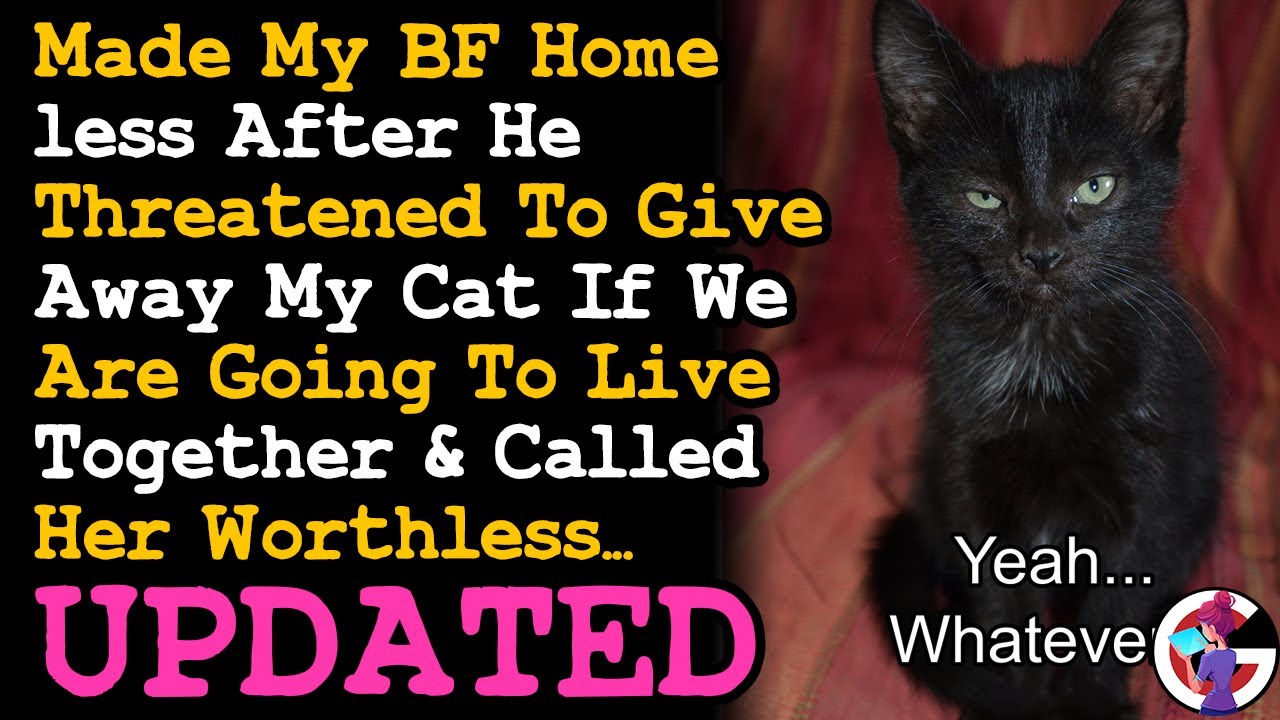 UPDATE Made My BF Homeless For Calling My Cat Worthless & Threatening To Give Her Away... AITA