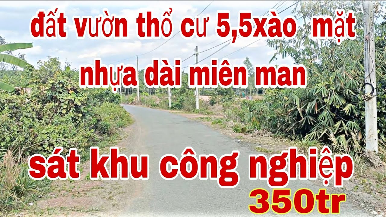 Đất vườn thổ cư bám mặt nhựa lớn nhiều tại đồng phú giá chỉ 350tr/xào.lh 0937971626