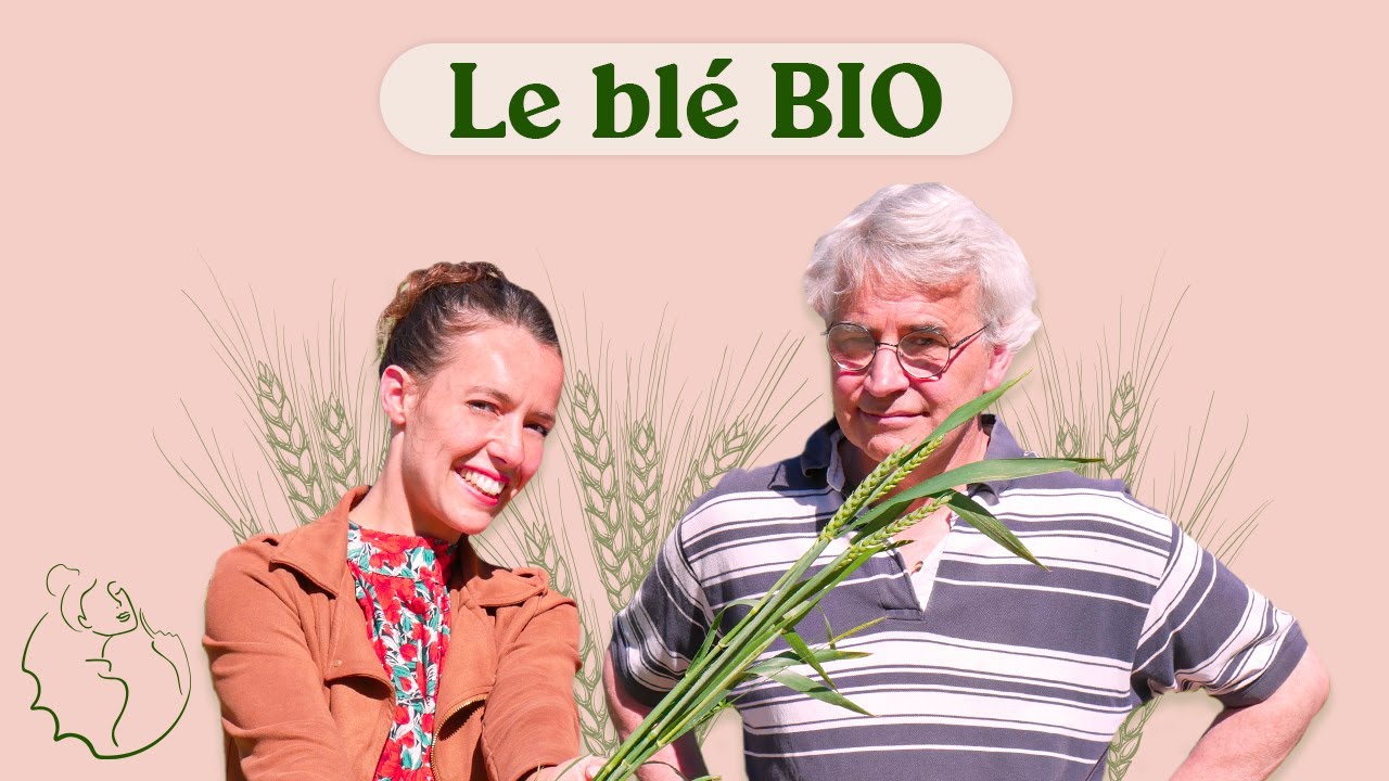 À la Rencontre de Producteurs de Blé Bio