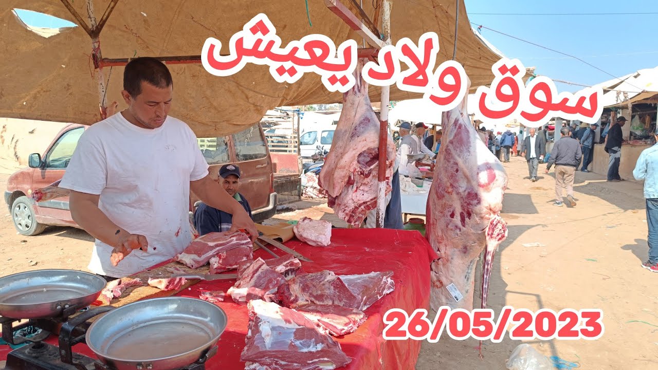 أسعار اللحوم سوق ولاد يعيش بني ملال 26/05/2023