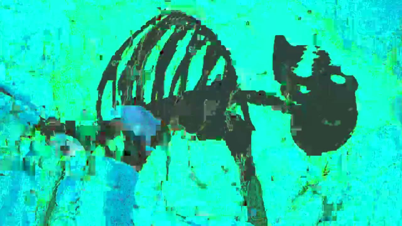 Trippie Redd x Playboi Carti - Miss The Rage [Extended + Reverse Intro] (slowed + 639Hz + reverb)