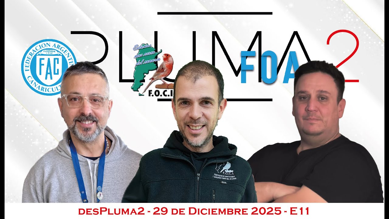 Despluma2 | FOA, FAC y FOCI: presente y futuro de la ornitología argentina – Presidentes en debate