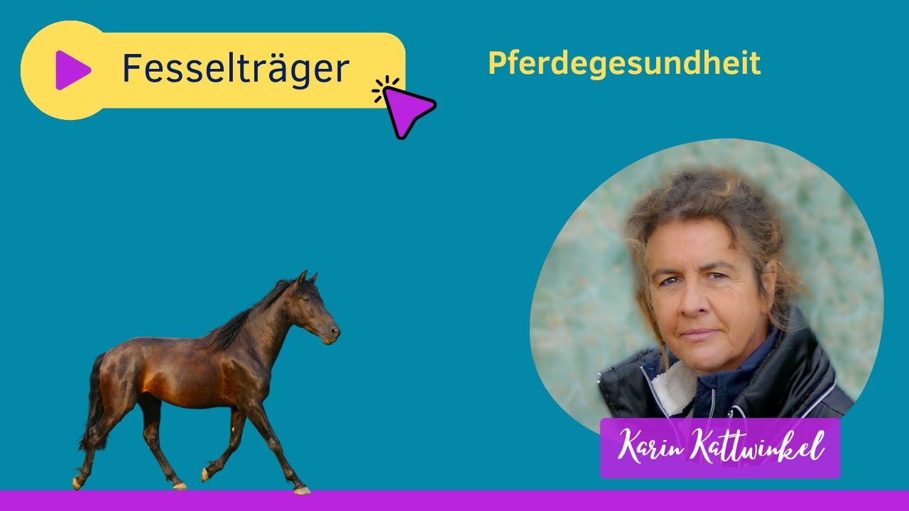 Warum meckert der Fesselträger | Pferdegesundheit | Karin Kattwinkel