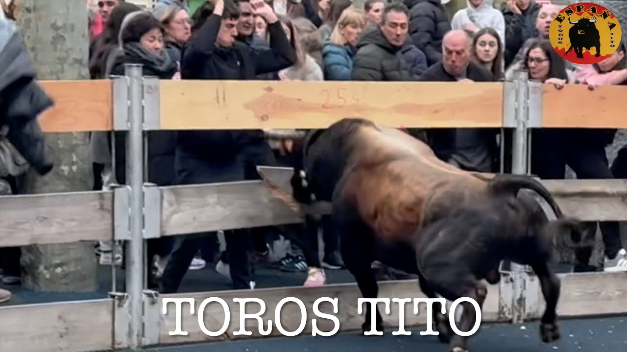 Sokamuturra de Azpeitia, Ganadería Lopene , 4 marzo 2025