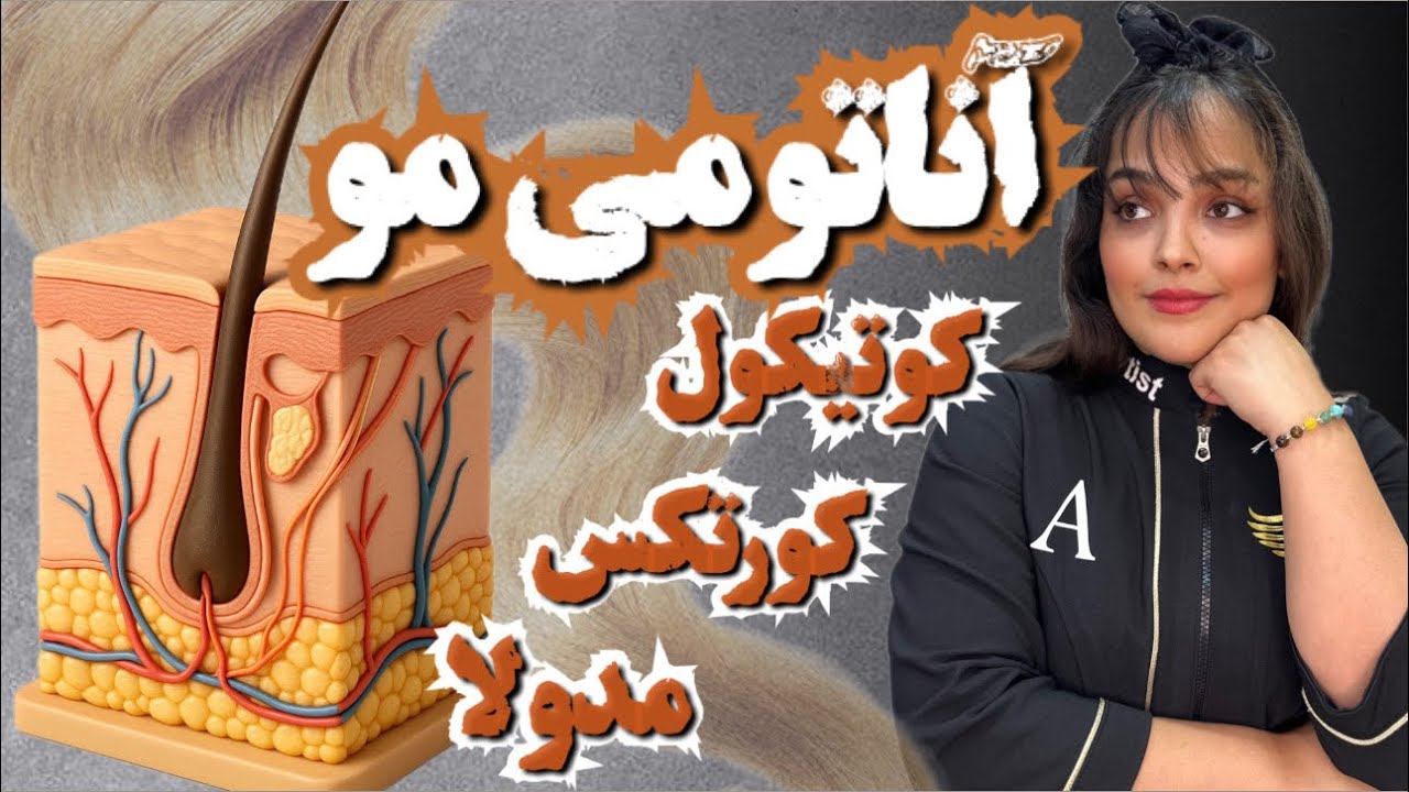 ساختار وعملکرد مو:💈شناخت آناتومی مو