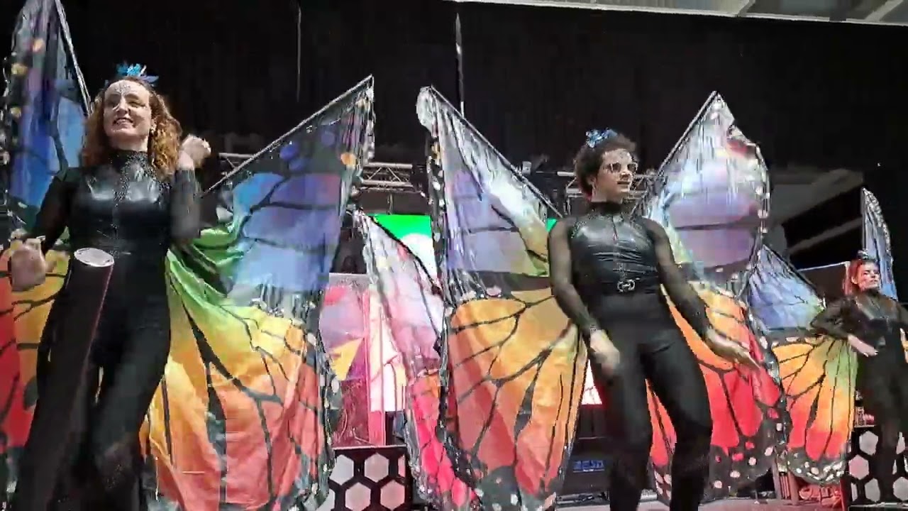 DANZA FUSION  dirigida por  JOSE ANTONIO SANCHEZ EN LOS CARNAVALES DE ALBOX 2026