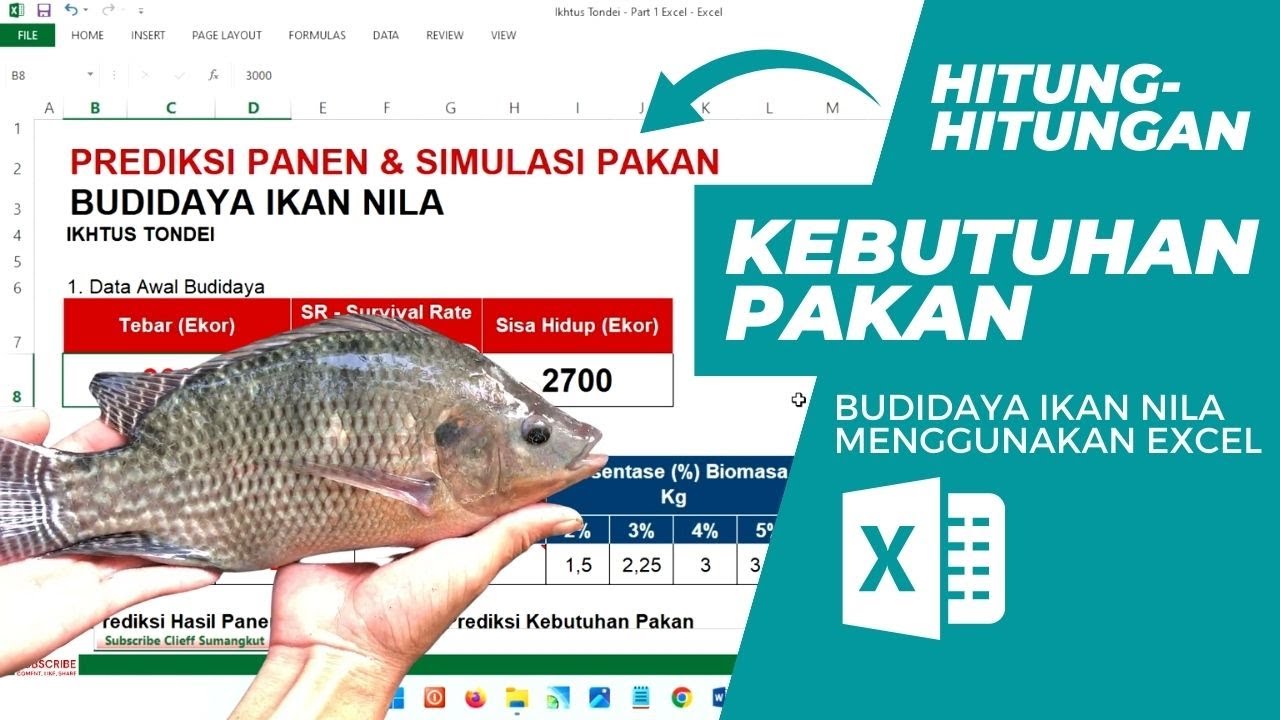 Hitung Pakan Ikan Nila Pake Excel, budidaya ikan jadi Mudah!
