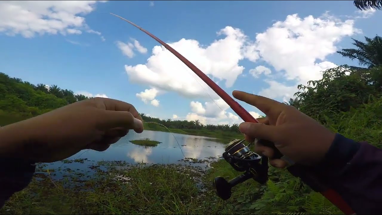 Panas!!!  Seharian Mancing Dapat Hikmah
