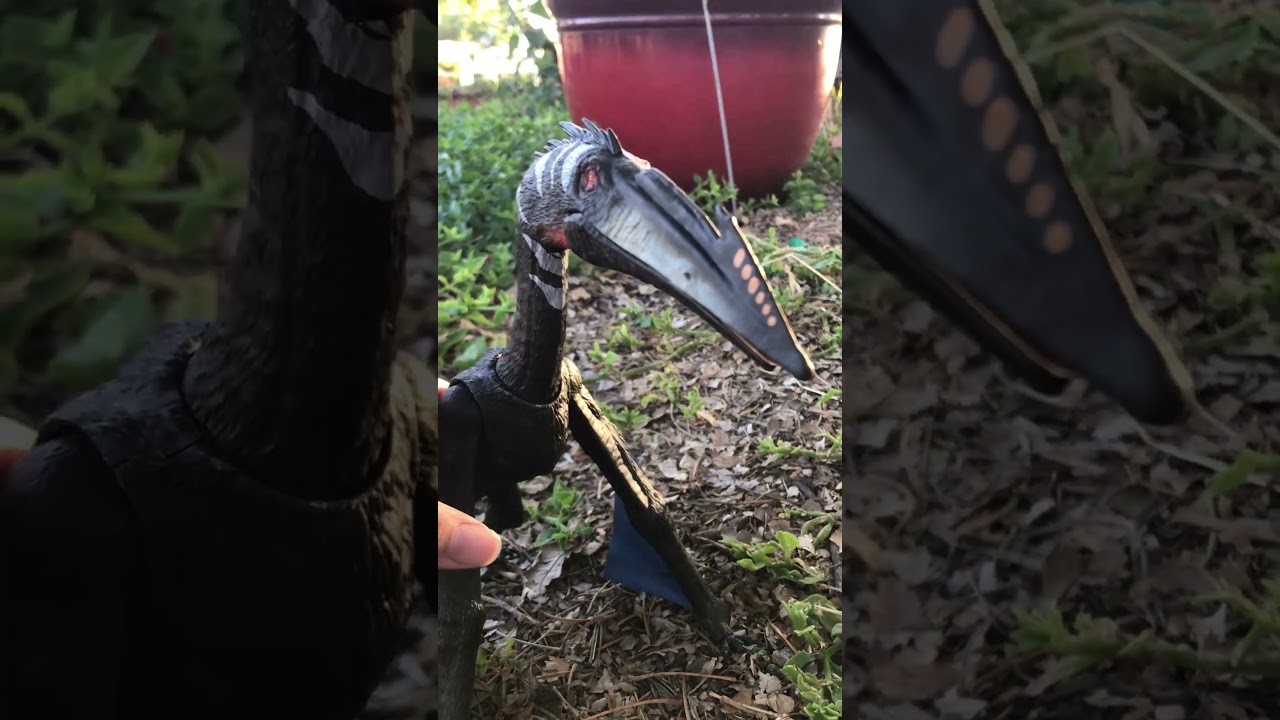 Jurassic world Rebirth Quetzalcoatlus toy #jurassicworld #jurassicpark #dinosaur