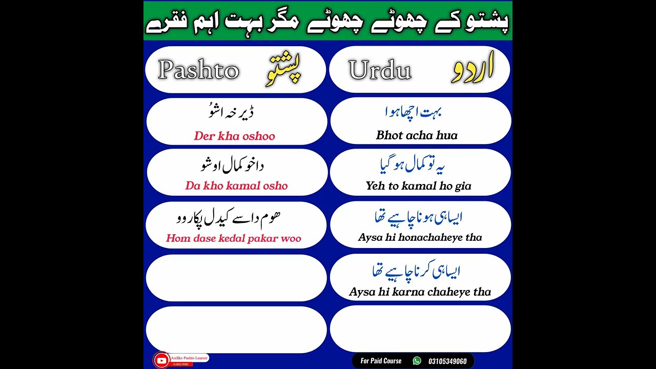 Top 49 New Pashto Basic Phrases For beginners | Daily life 49 Sentences in Pashto | Pashto into urdu