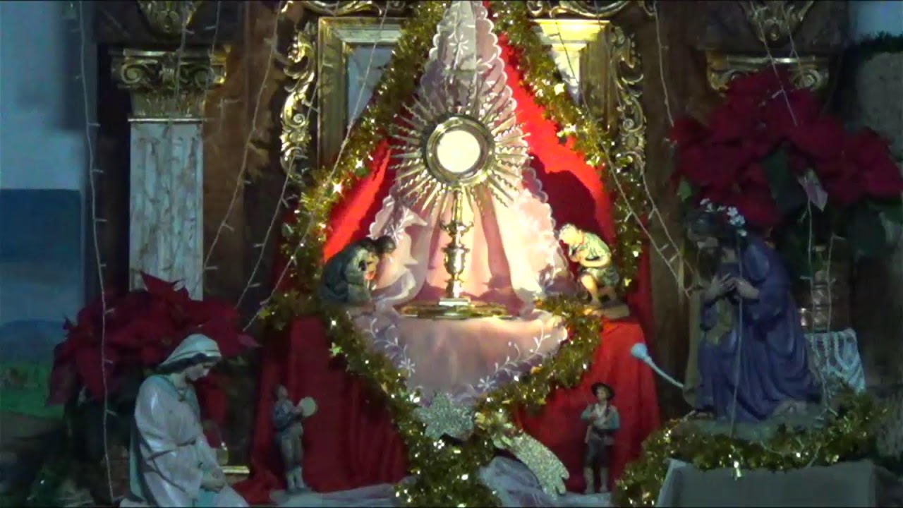 ADORACIÓN EUCARÍSTICA PERPETUA